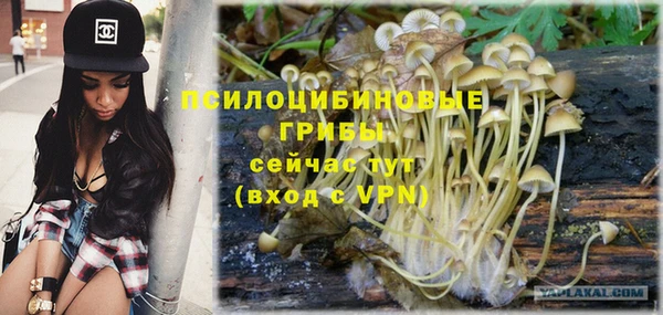 МДПВ Волоколамск