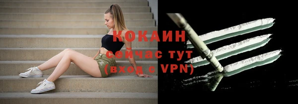 гашик Володарск