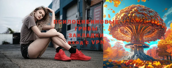 гашик Володарск