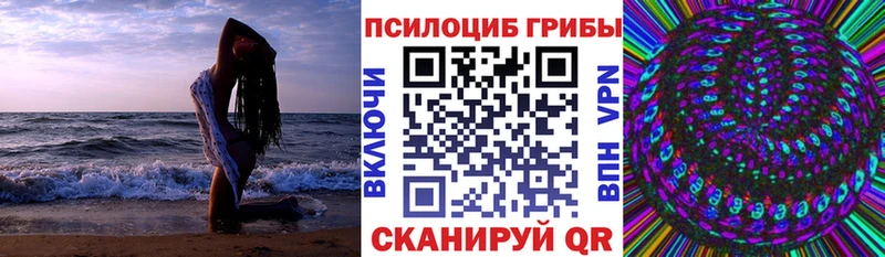 Галлюциногенные грибы Psilocybe Приозерск