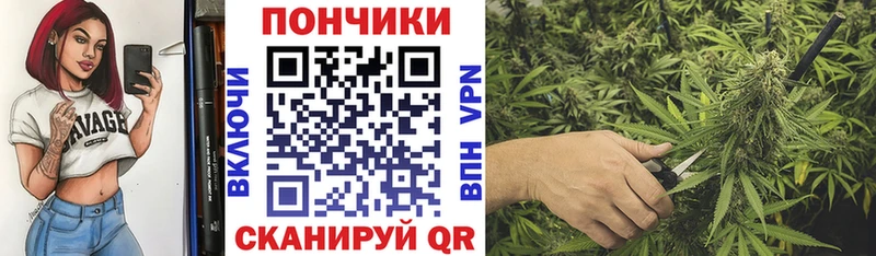 Купить где  Приозерск  Шишки марихуана план 